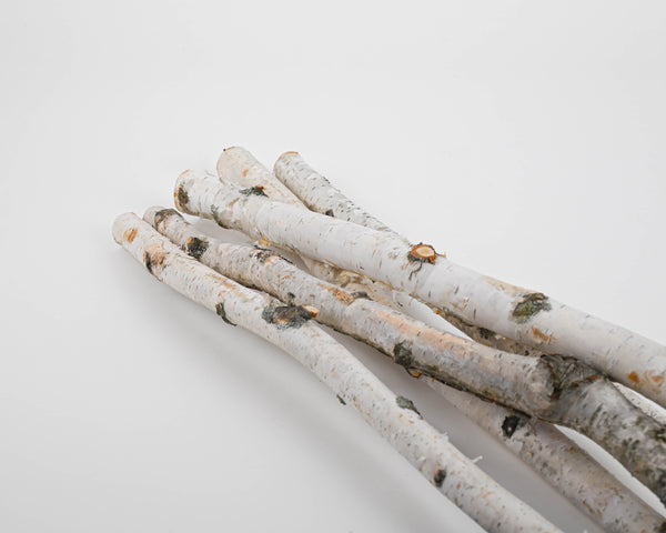 White Birch Poles for Sale - Decorative Birch Poles Case of 10, 2-3 inch Diameter Poles
